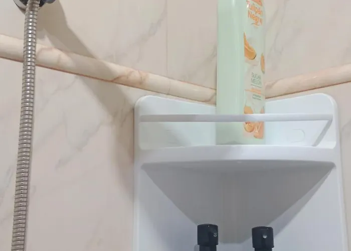 Brisa, La Carihuela Playa Torremolinos